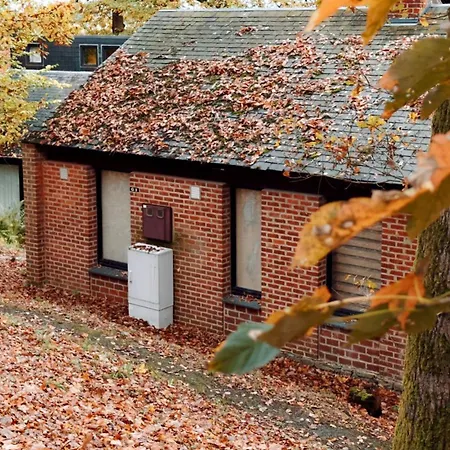 Chalet L'éden - Balnéo Privatif Au Cœur Des Bois Waulsort